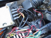 CIMG7733 (800x600) (600x450).jpg