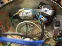 CIMG7993 (640x480) (600x450).jpg