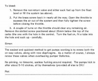 Priming, bleeding the accelerator pump-page-002-3.jpg
